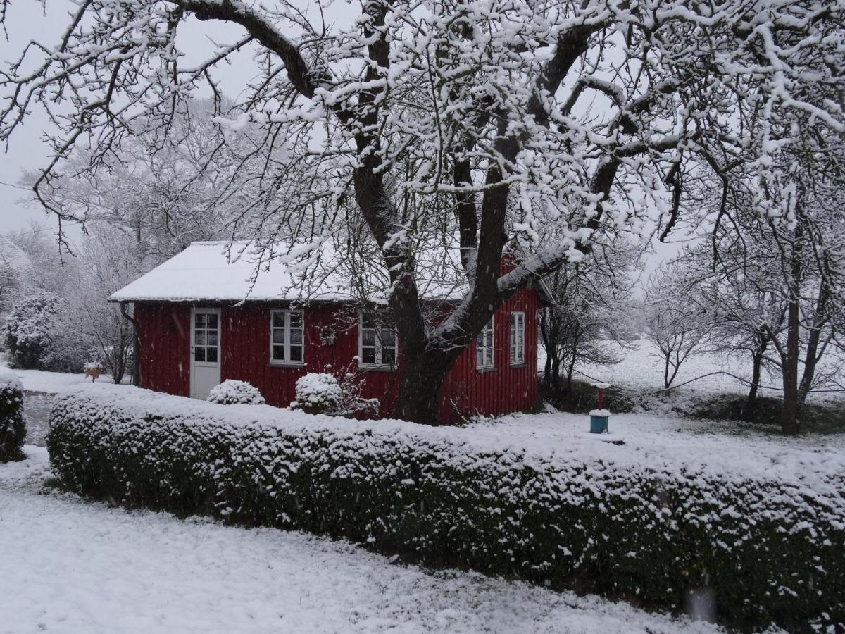 Hansenhof Капелн Екстериор снимка